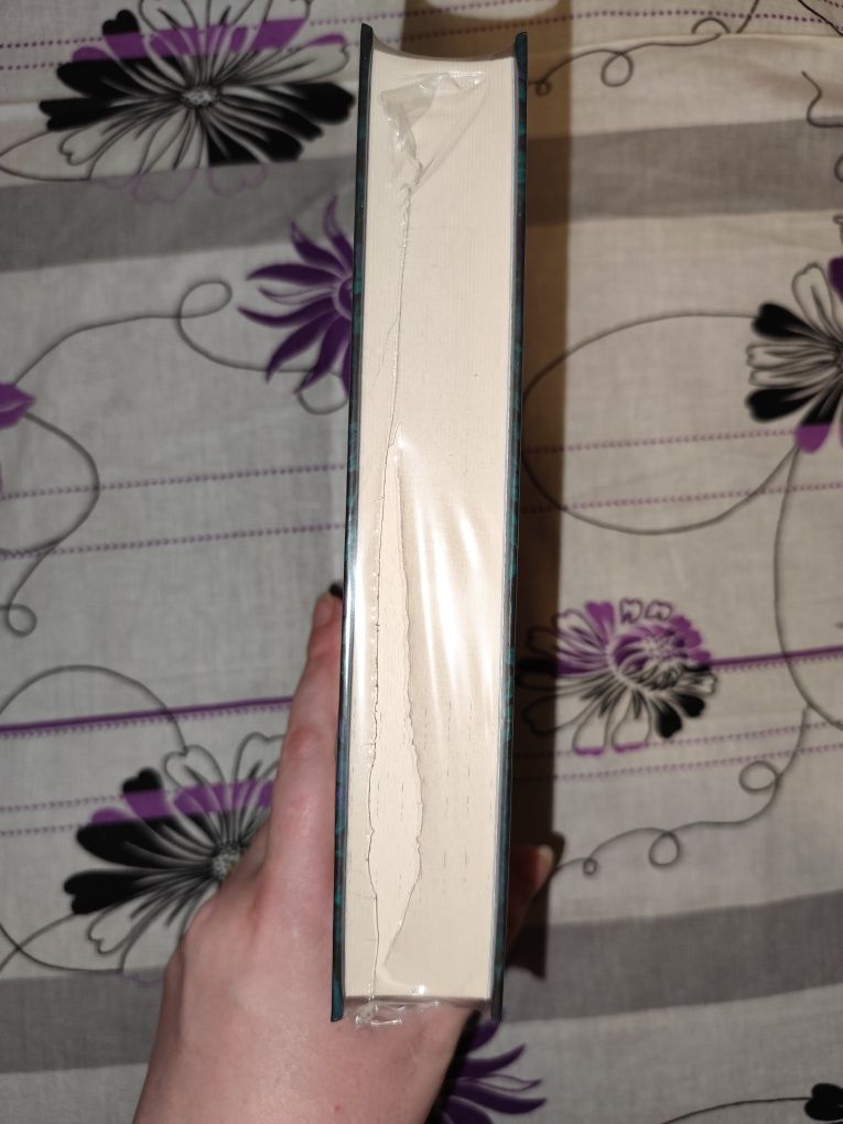 Продаж книги "Незриме життя Адді Лярю"