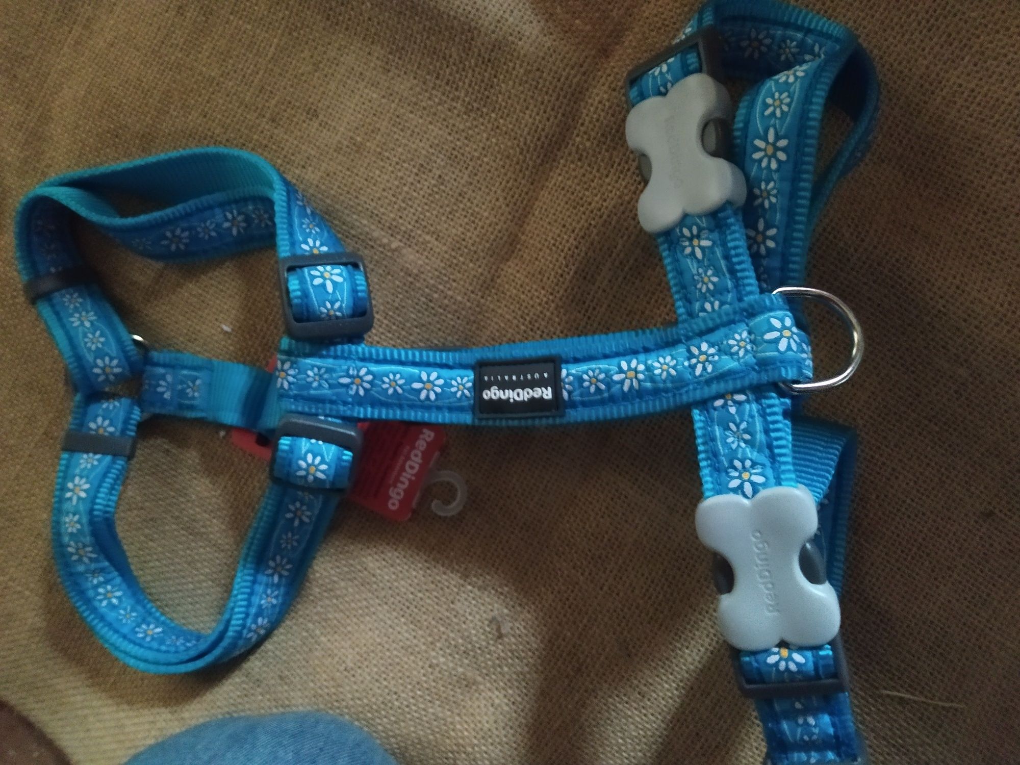 Peitoral XL RedDingo