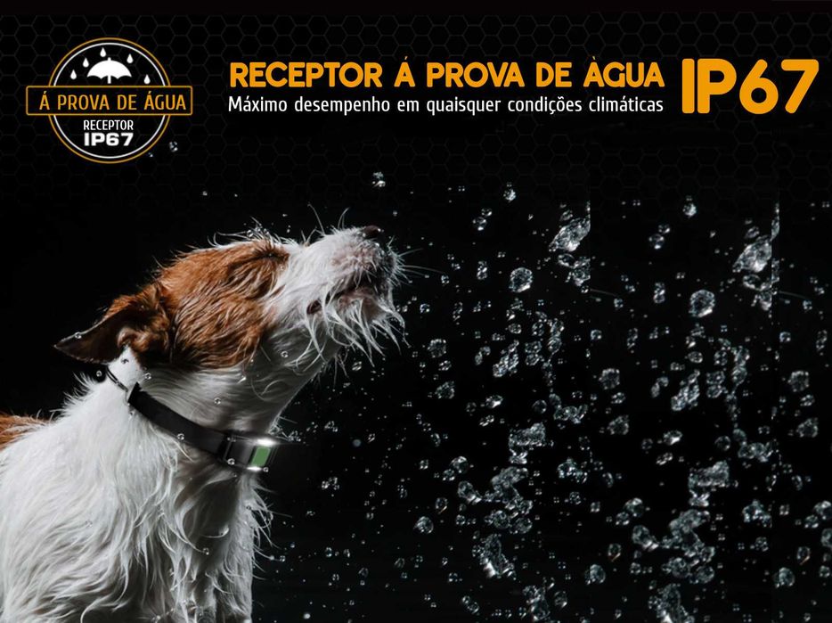 Coleira adestramento à distância para 2 cães alcance de 1000 metros