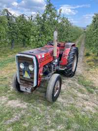 Massey ferguson MF 247V, 3cyl 47KM, sadowniczy, wspoamganie gruby most