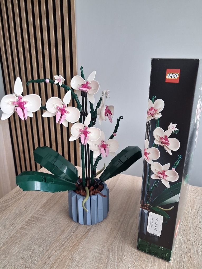 Klocki 10311 LEGO Icons Orchidea