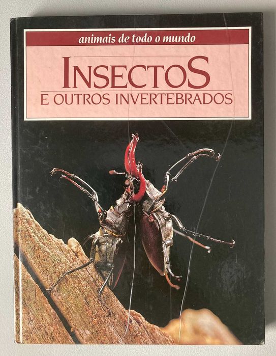 Insectos e outros Invertebrados