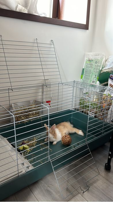 Vendo gaiola para animais pequenos