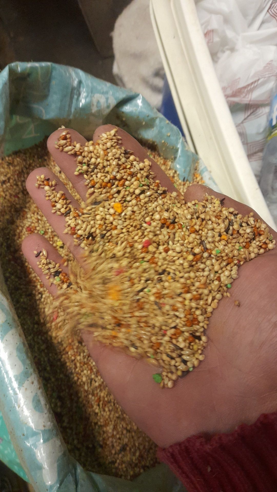 Comida/sementes para pássaros exóticos