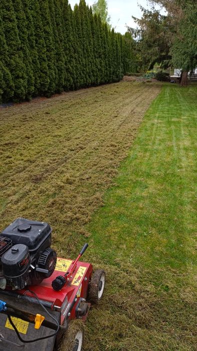 Usługi Ogrodnicze Warszawa i okolice. Wolne terminy listopad-grudz.