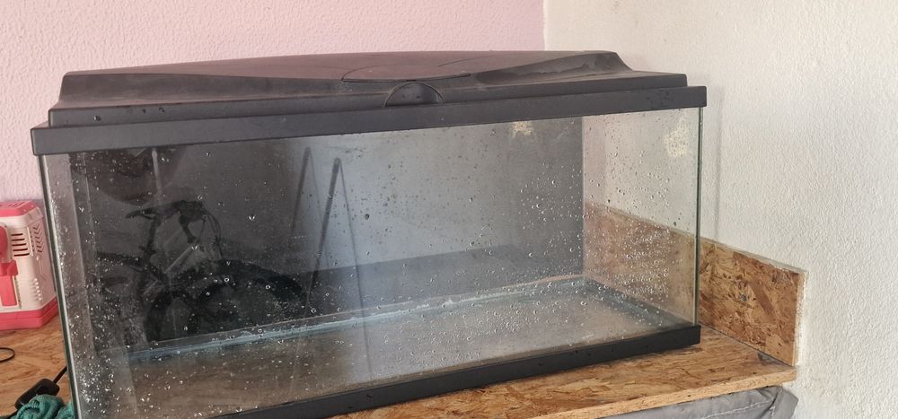 Aquário e vários acessórios