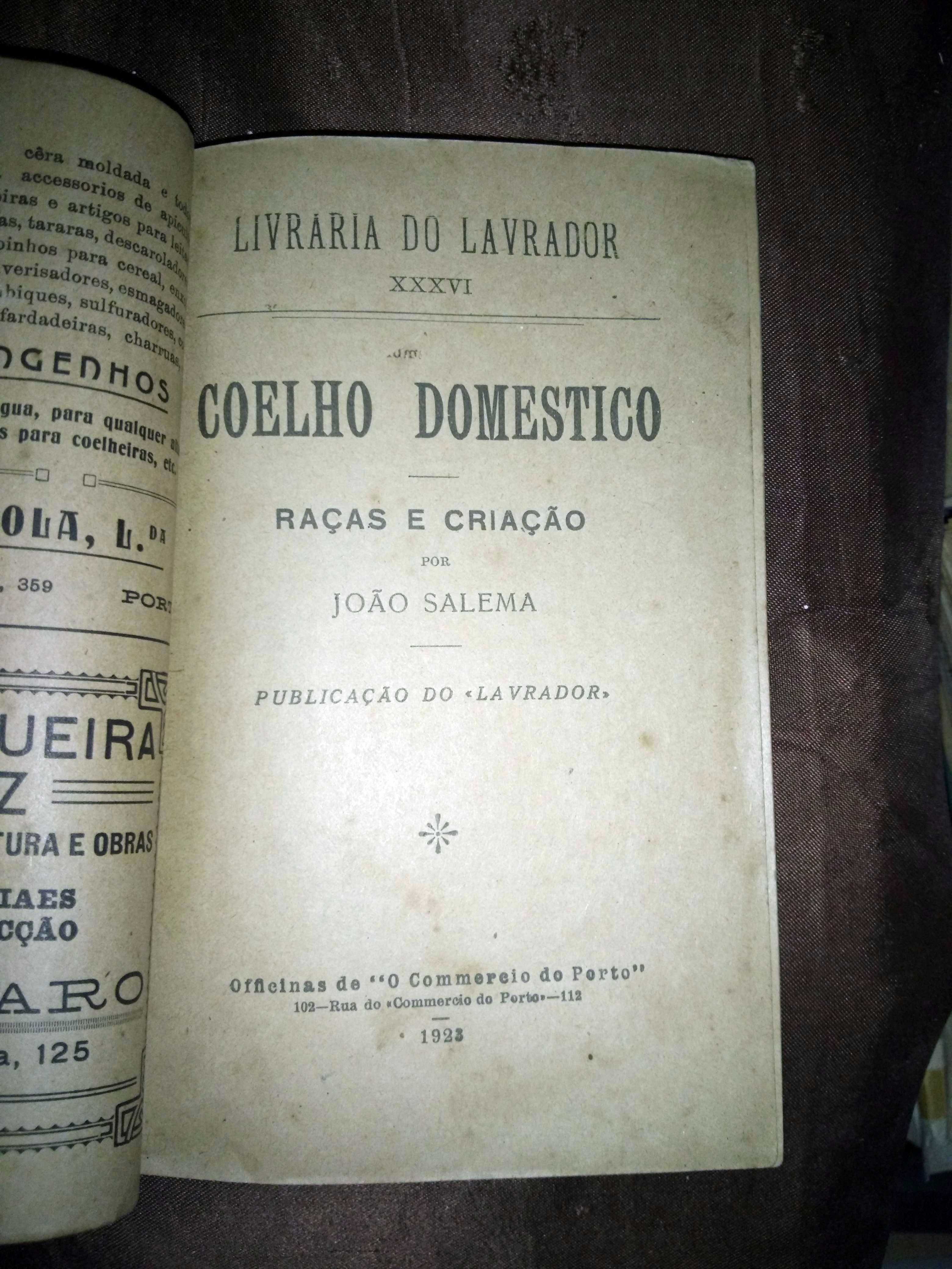 Coelho Doméstico, Raças e Criação - Livraria do Lavrador