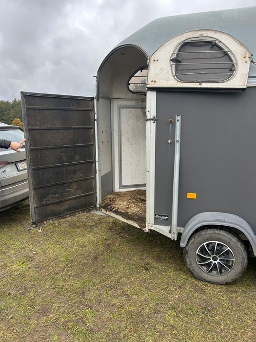 Przyczepa do koni  z 2005 roku dmc 2000 kg
