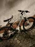 Bicicleta SPECTRUM LIGHT