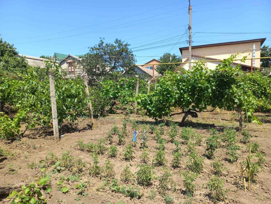 Продам Участок в Крыжановке
морская сторона