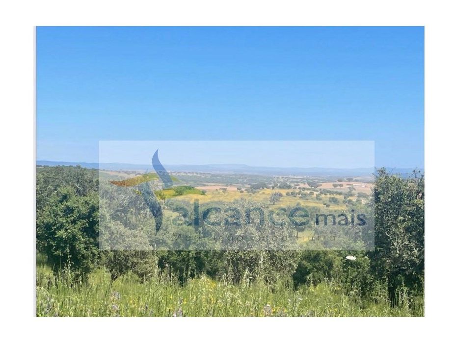 Herdade com 154 hectares em Reguengos de Monsaraz I FORTE POTENCIAL...