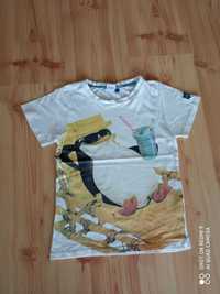 T-shirt, pingwiny z Madagaskaru, r.116cm