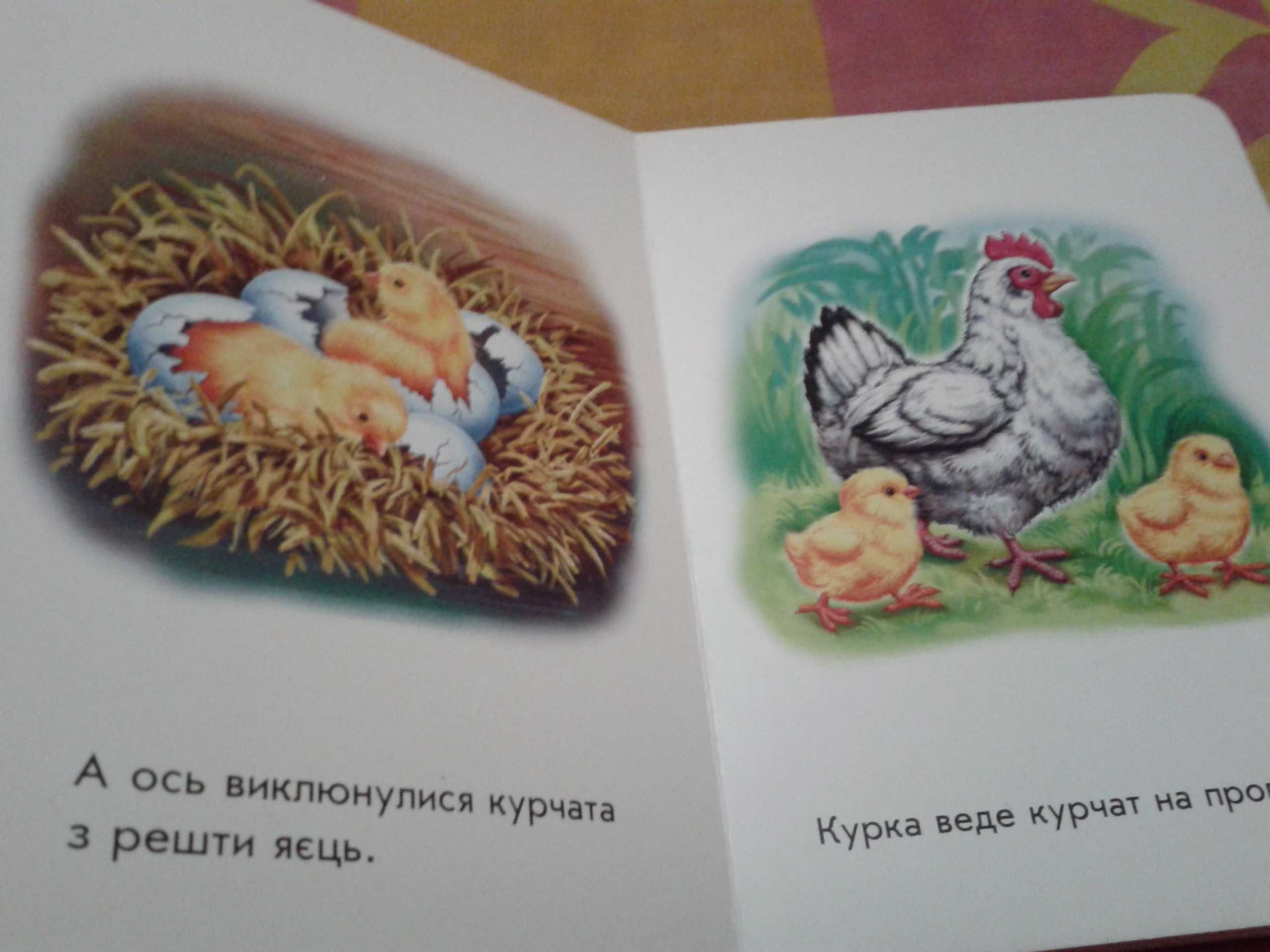 Книжка-картонка для малят «Хто як зростає?» (від 2 років)