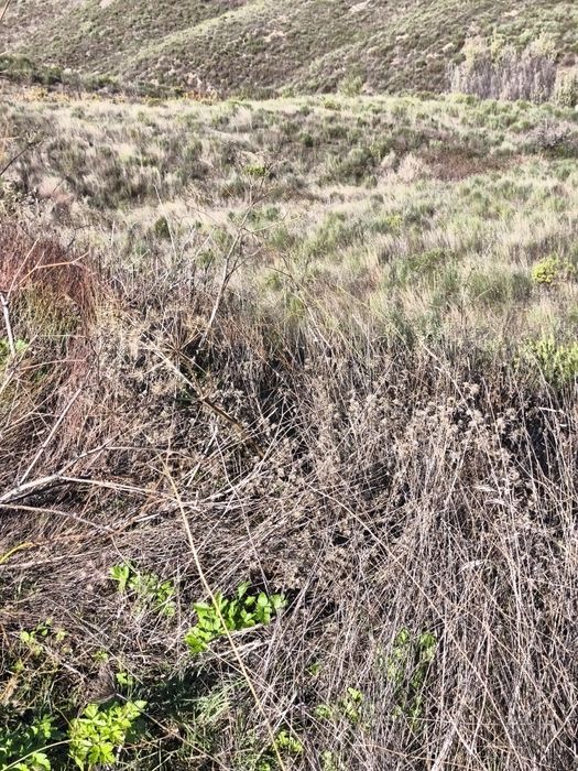 Terreno rústico em Moncorvo