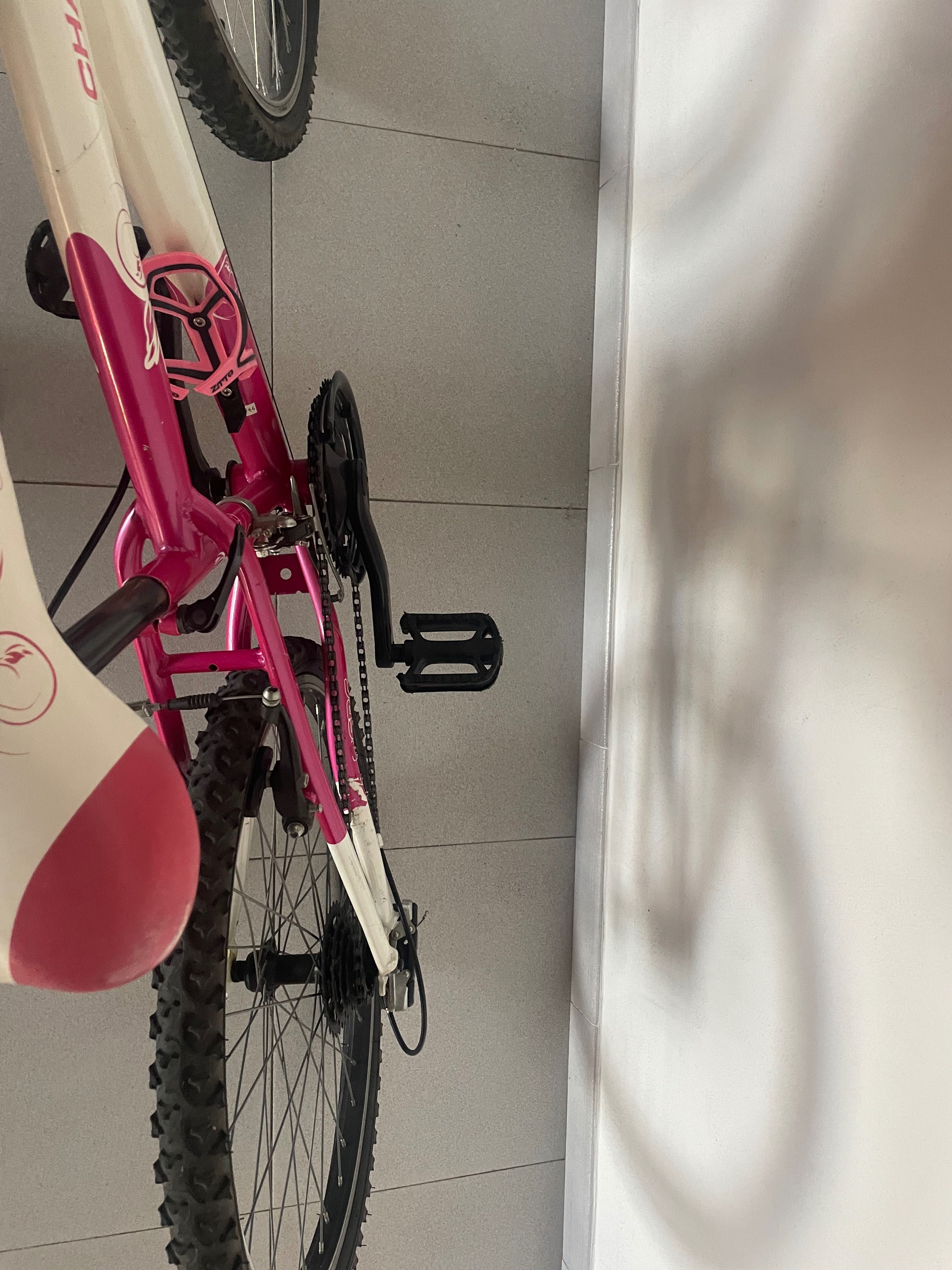 Bicicleta Berg Charm 243