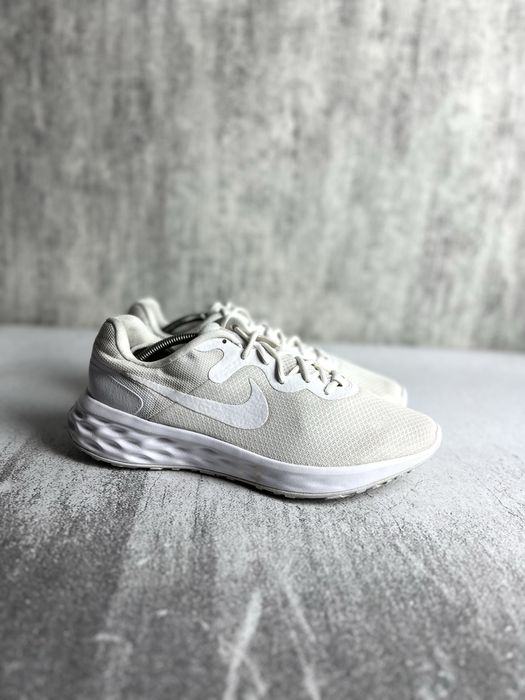 Кросівки чоловічі Nike Revolution 6 45(29)