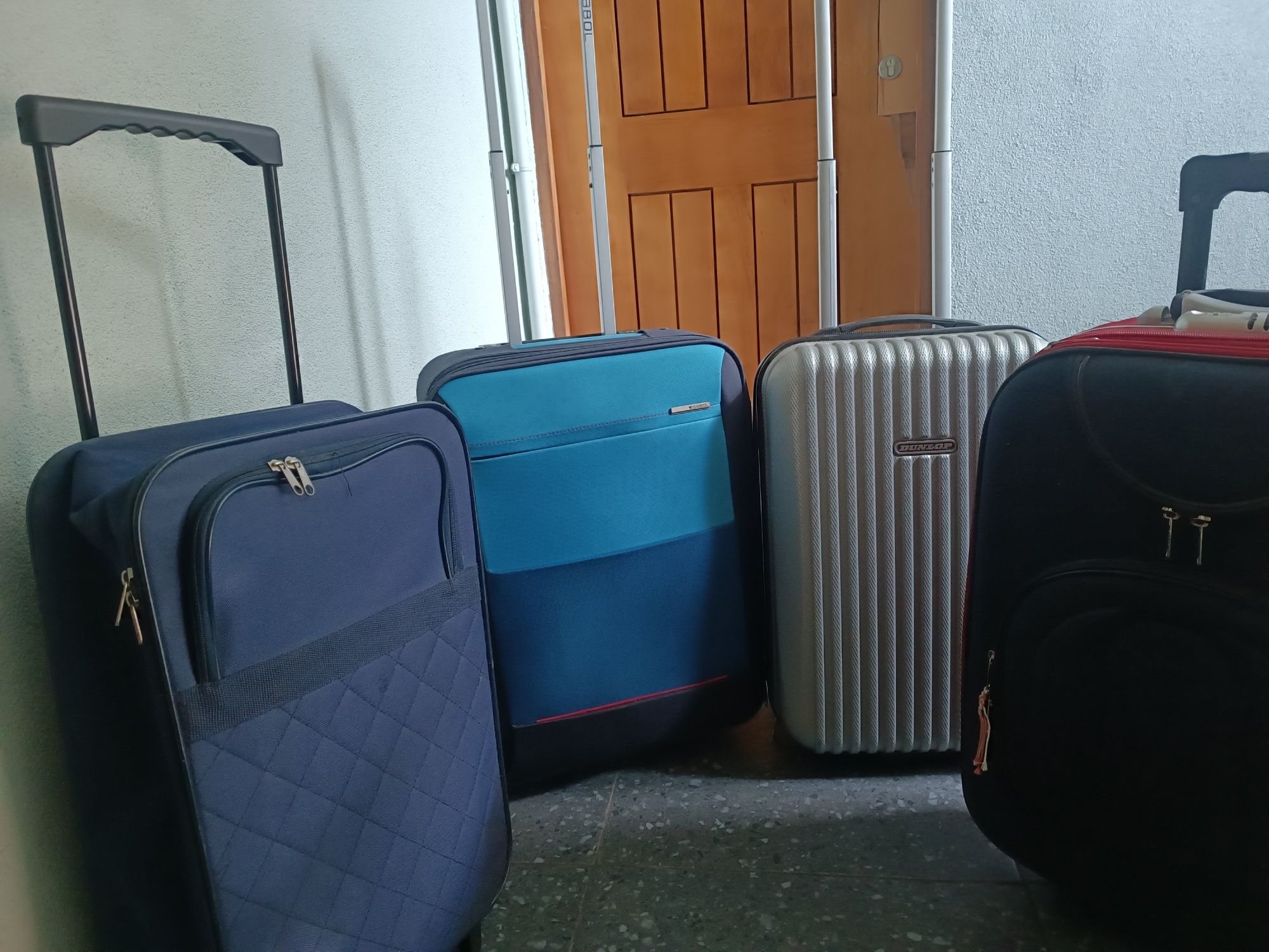 Malas de viagem 2025