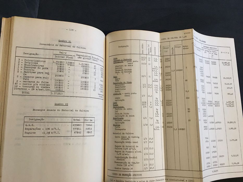 A Viticultura da Região da Bairrada (1965)