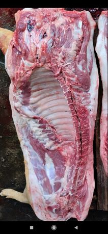 Продам мясо свинины частями