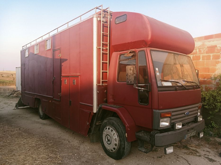 Camioneta carrinha para transporte de cavalos de desporto