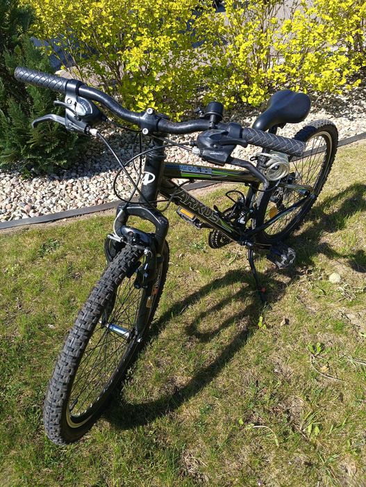 Rower Arkus Bavery 240 "24"