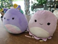 Squishmallows Duże 2 sztuki