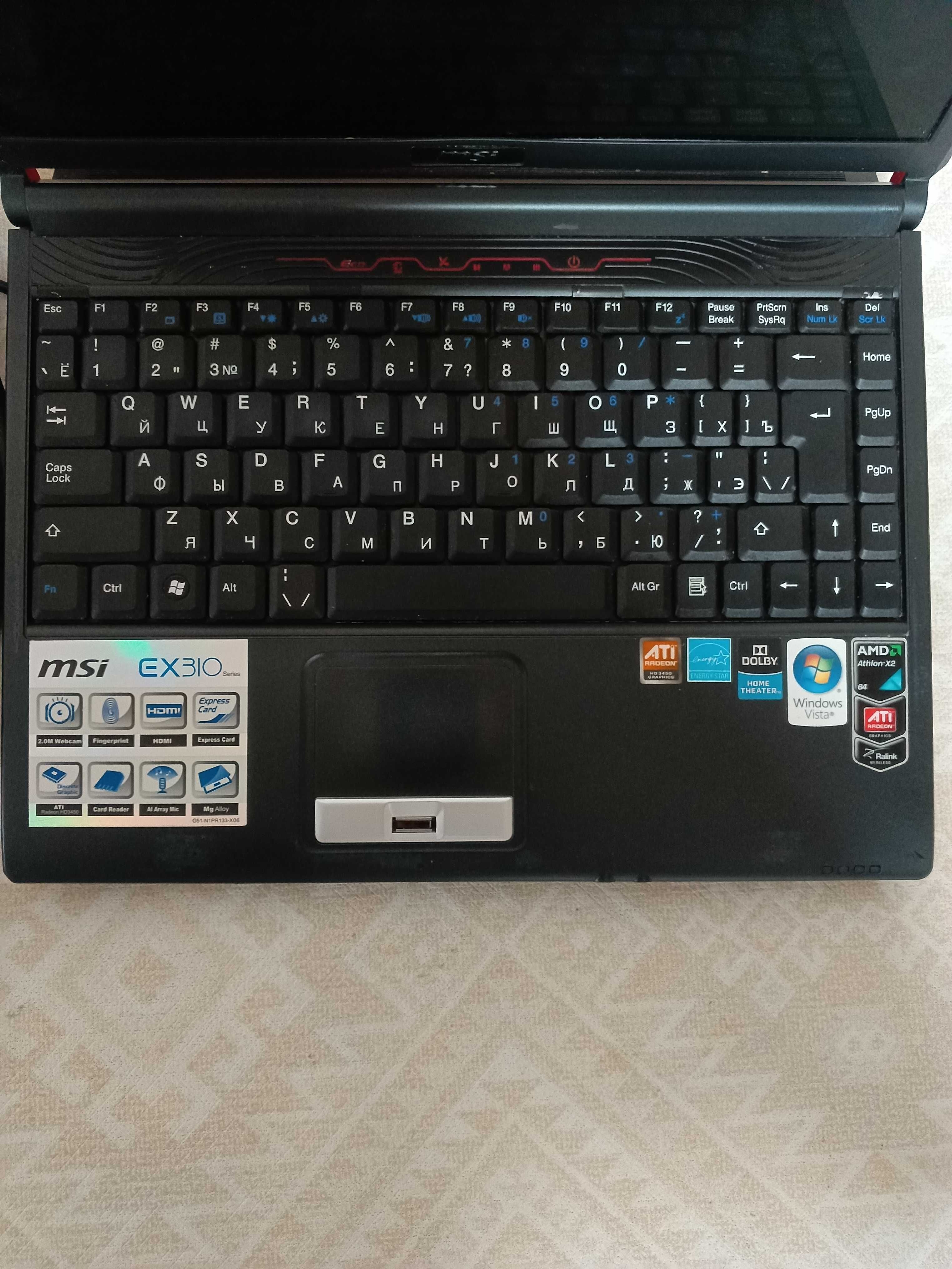 Ноутбук MSI EX310