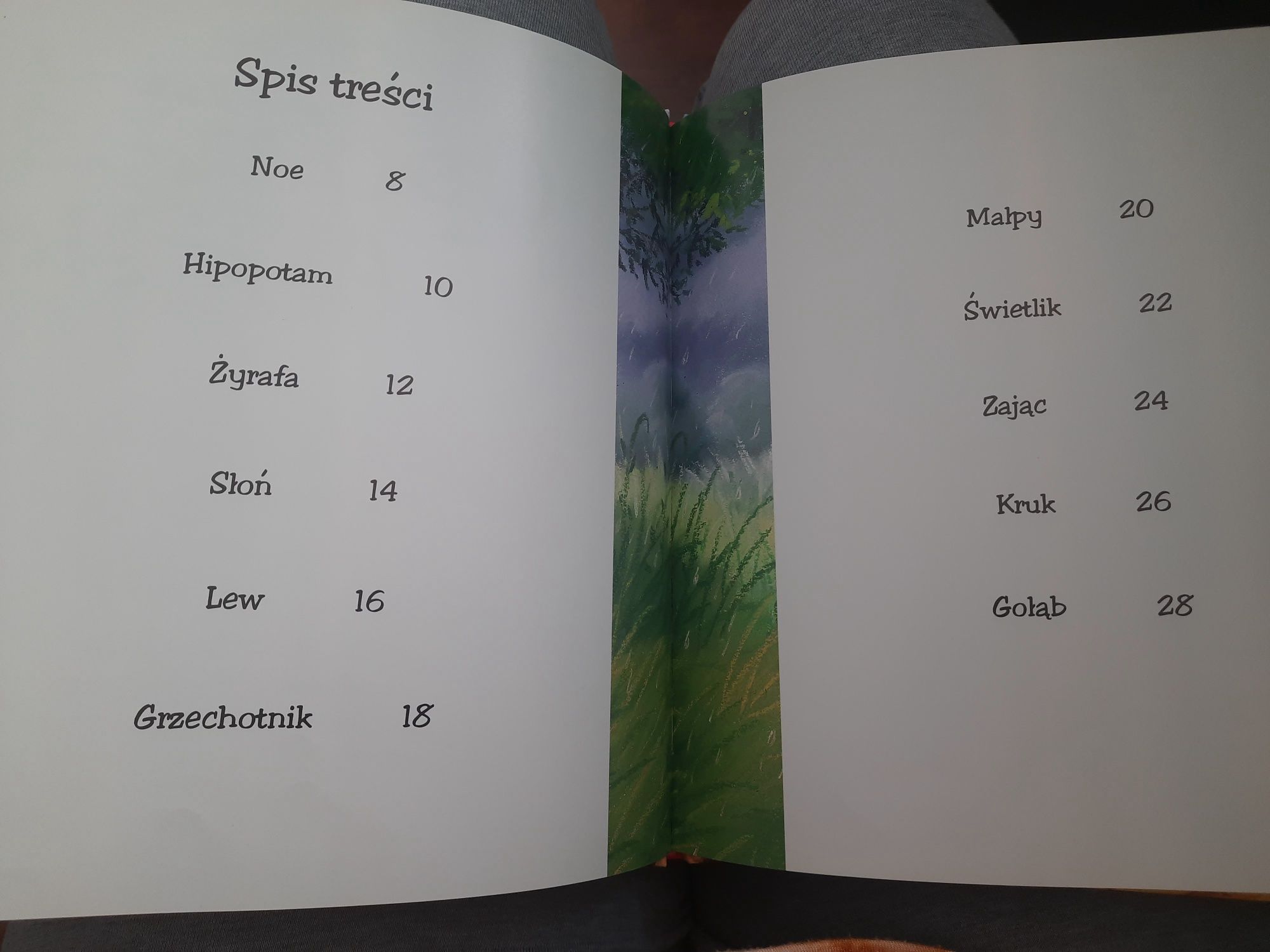 Opowieści z Arki Noego - John Goodwin, T. Macnaughton