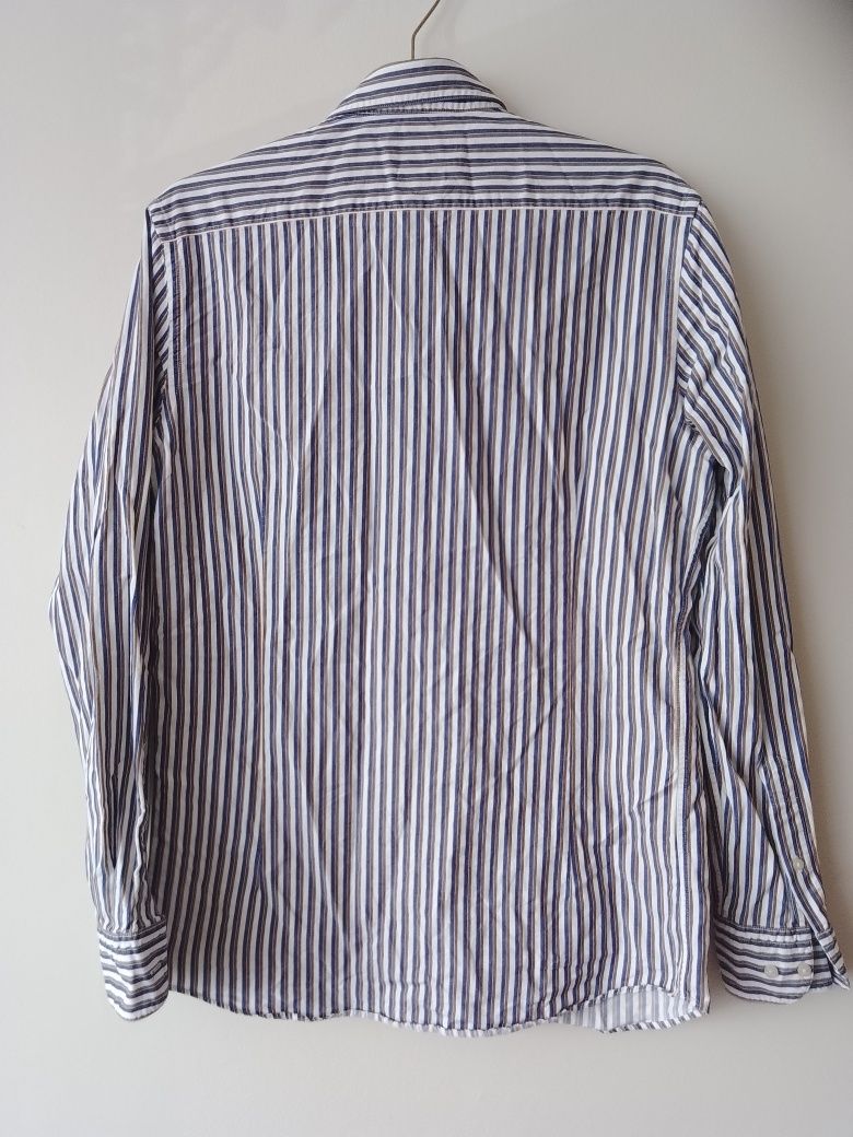 Elegancka koszula damska Massimo Dutti