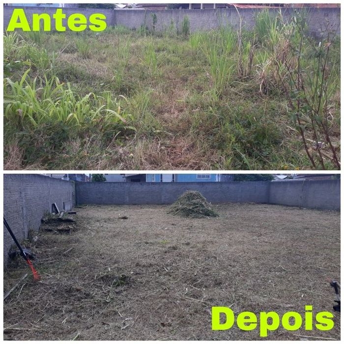 Limpeza de terrenos