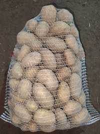 Ziemniaki Jurata