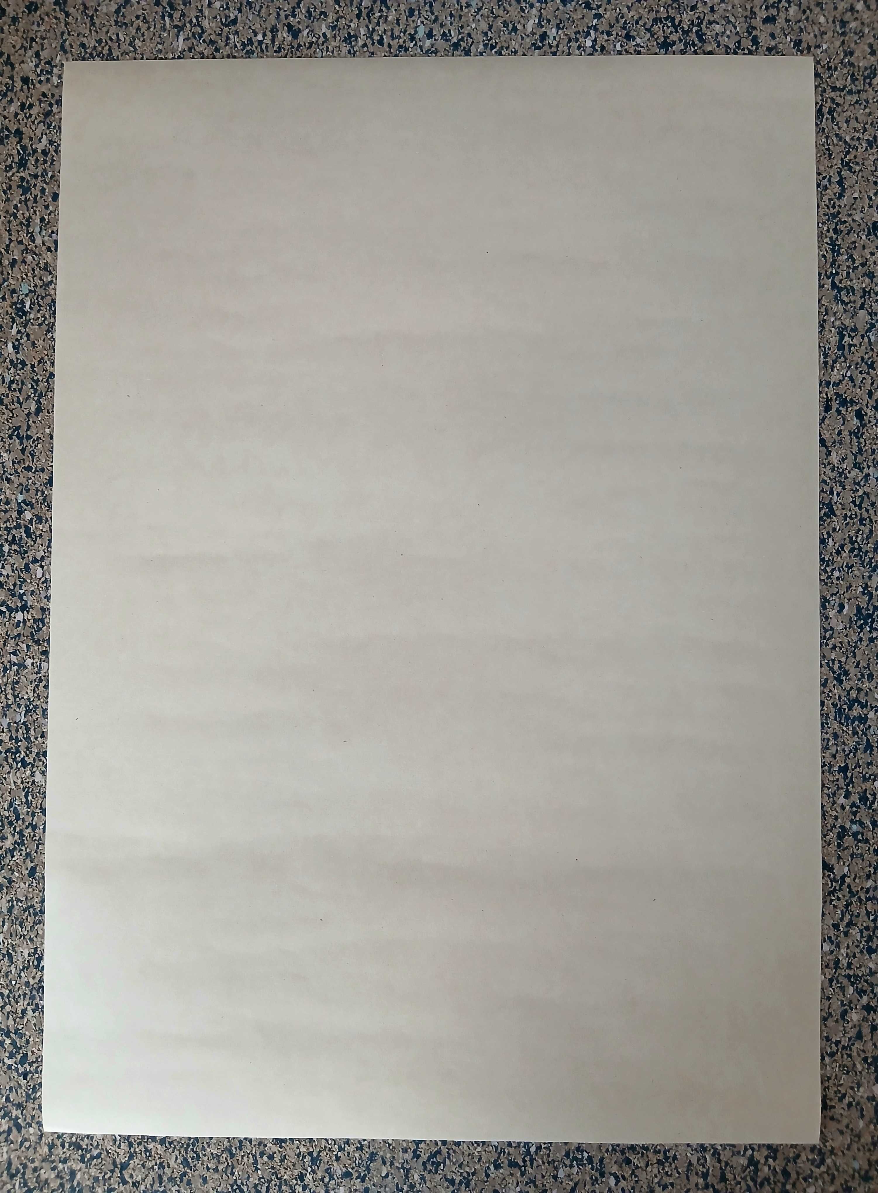 Poster - Django Unchained (papel kraft 30x42 cm)