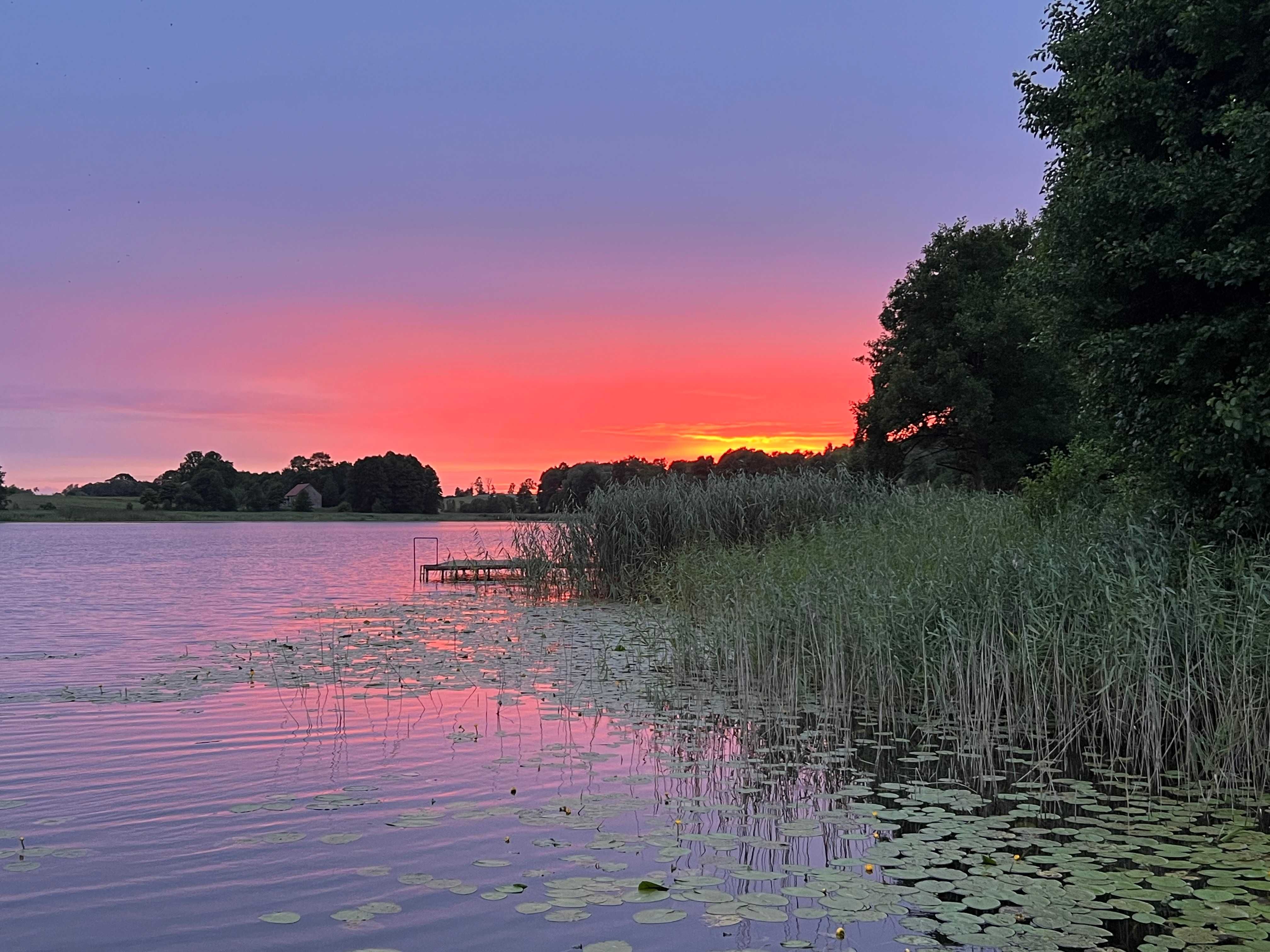 Domek letniskowy jeden na działce z linią brzegową  i pomostem.