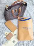 Damska  torebka Louis Vuitton