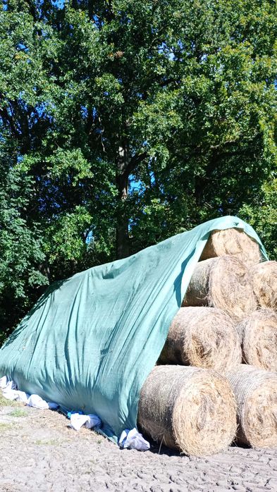 Sprzedam siano w balach