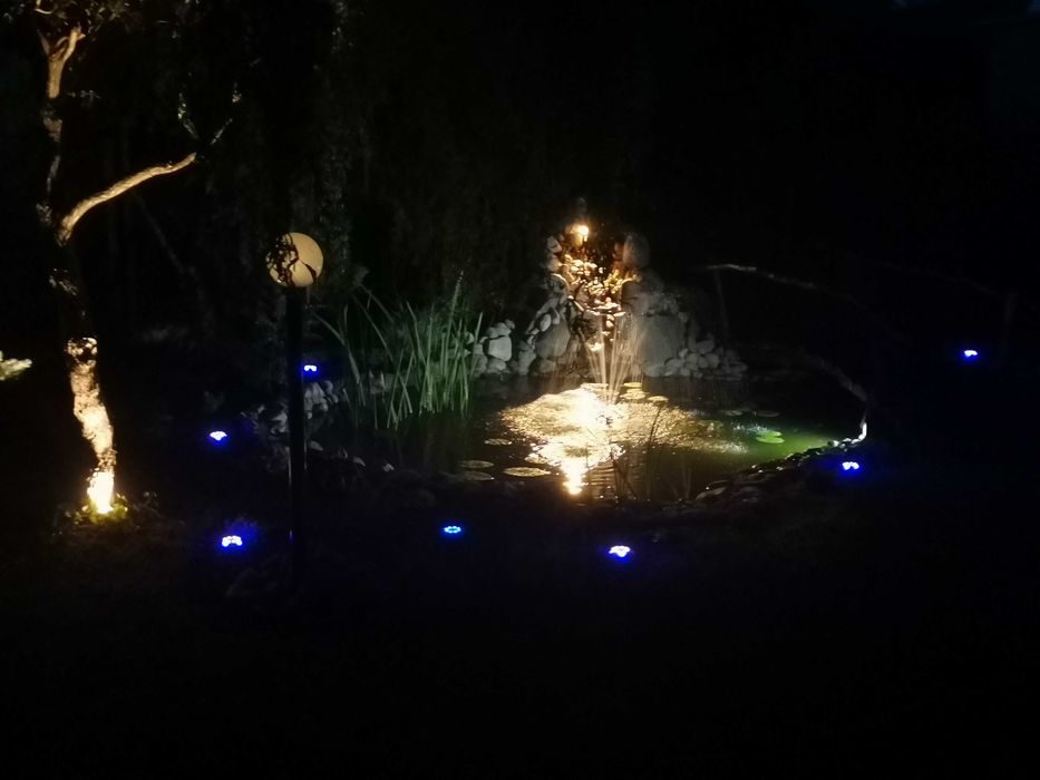 Paulmann lampa Podwodna do oczka ogrodu 12v /240