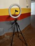 Ring light com tripe