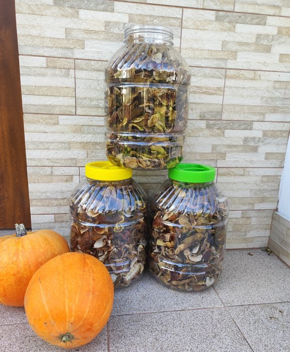 Sprzedam kilogram prawdziwków