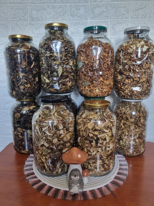 Grzyby suszone I marynowane 2025