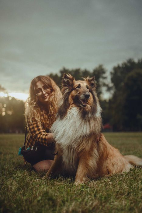 Opieka nad Psem, Kotem, Wyprowadzanie Psów | Certyfikowany petsitter