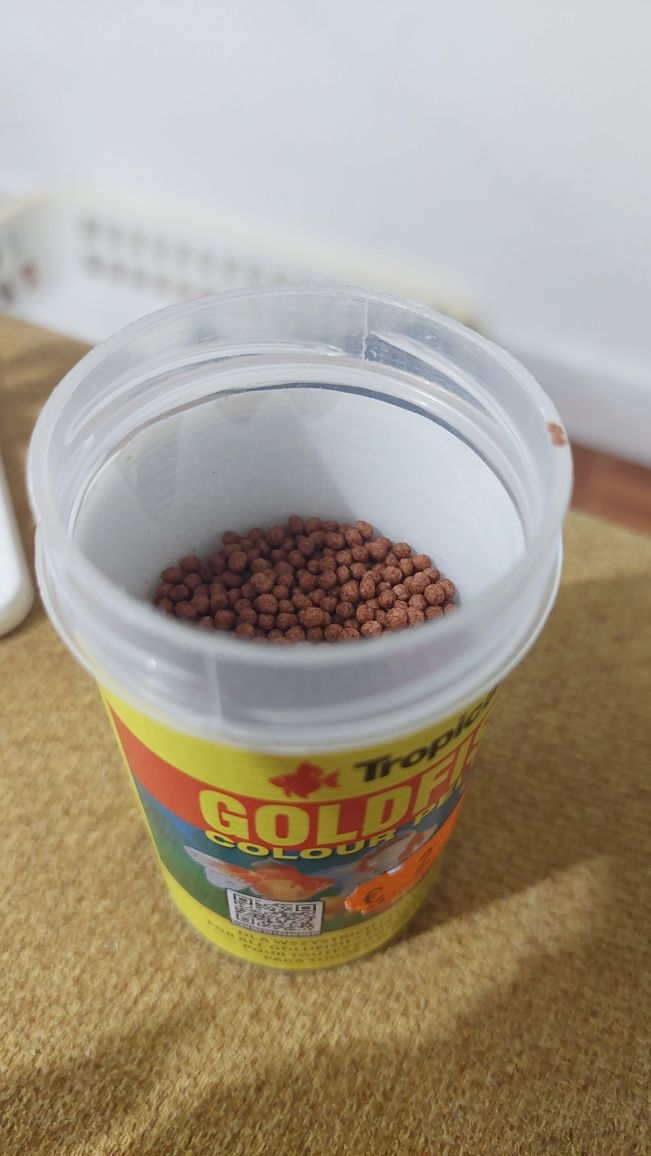 Ração peixe de água fria