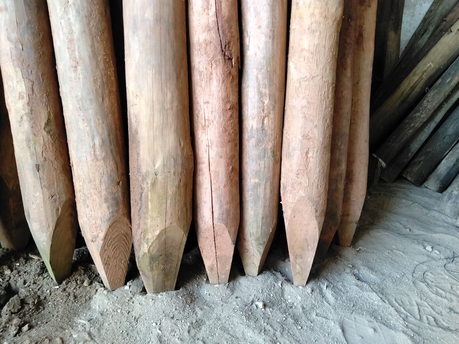 Paus tratados Baratos