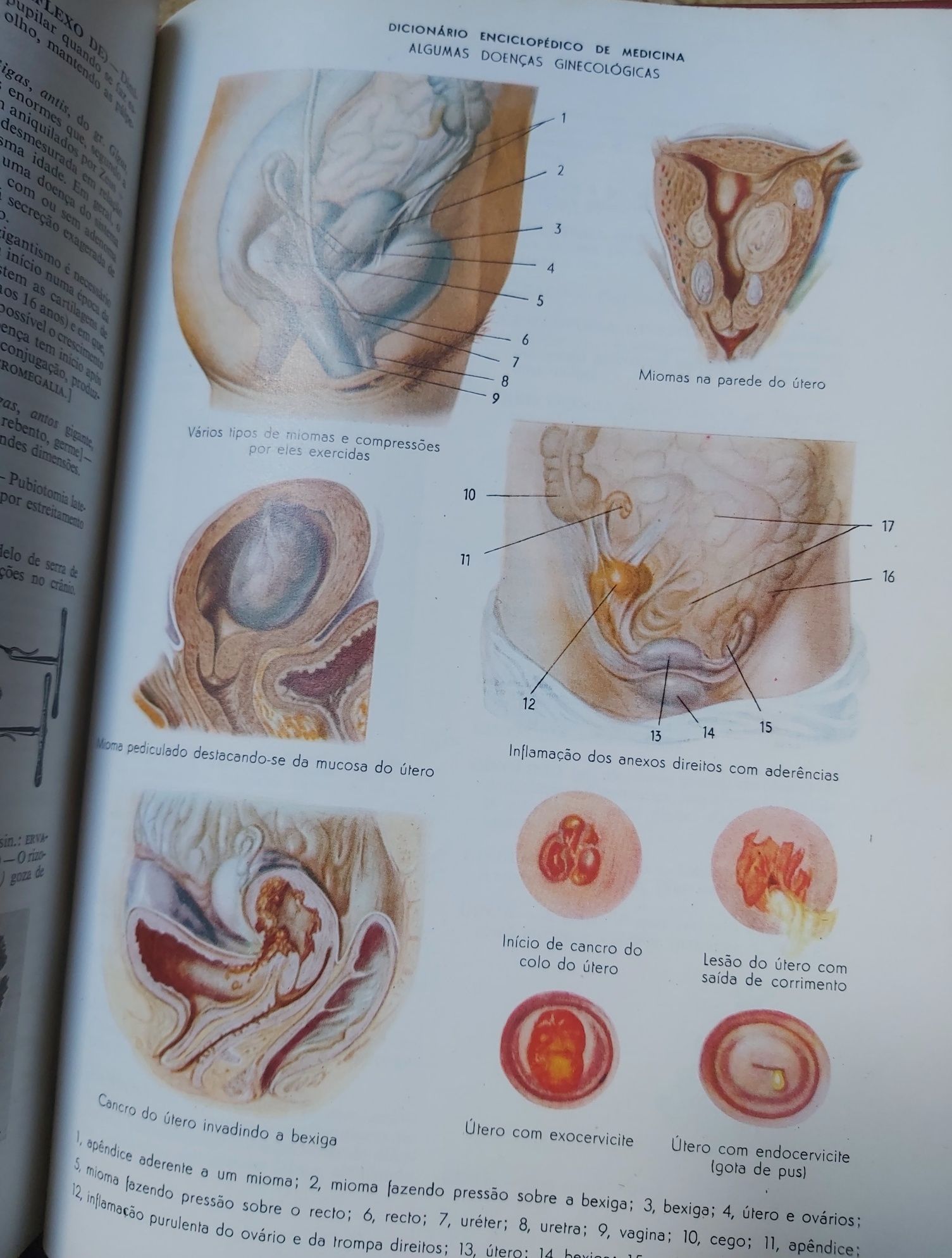 Dicionário enciclopédia médica 1977