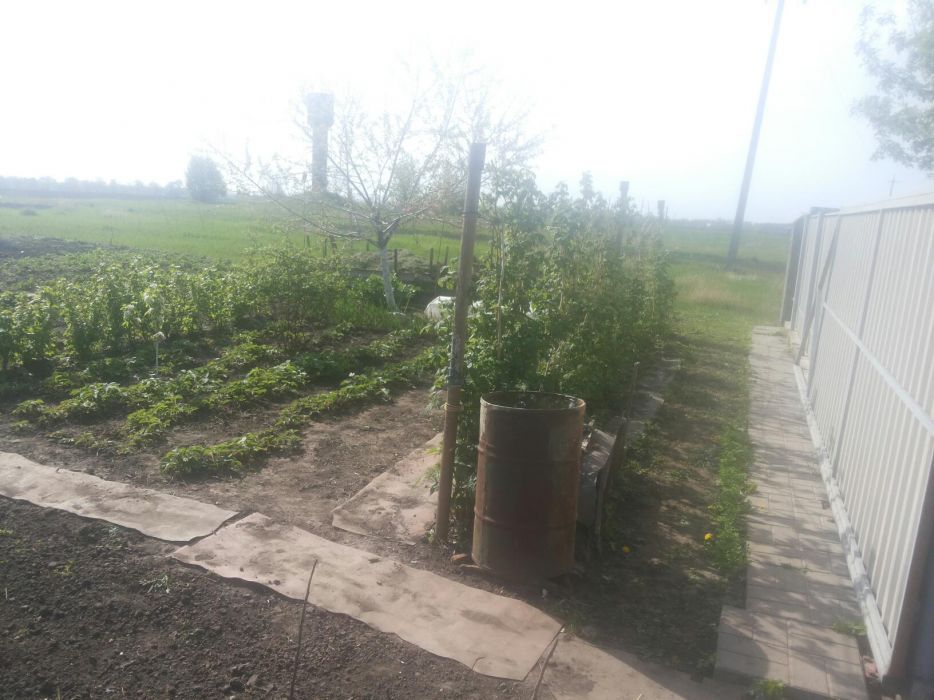 Продам Участок 26 соток с Домом в с.Соколовка (Васильковский р-н)