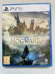 Gra Dziedzictwo Hogwartu Hogwarts Legacy na PS5