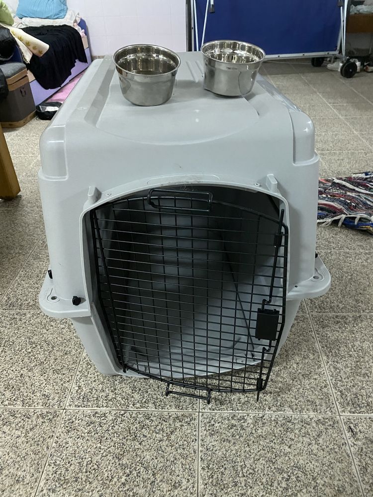 Transportadora Animal Homologada Avião