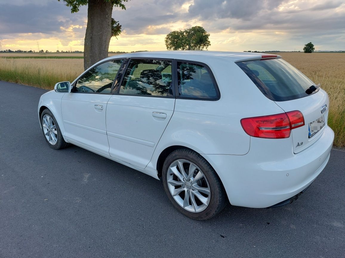 Audi A3 8P 2011 1.4TFSI