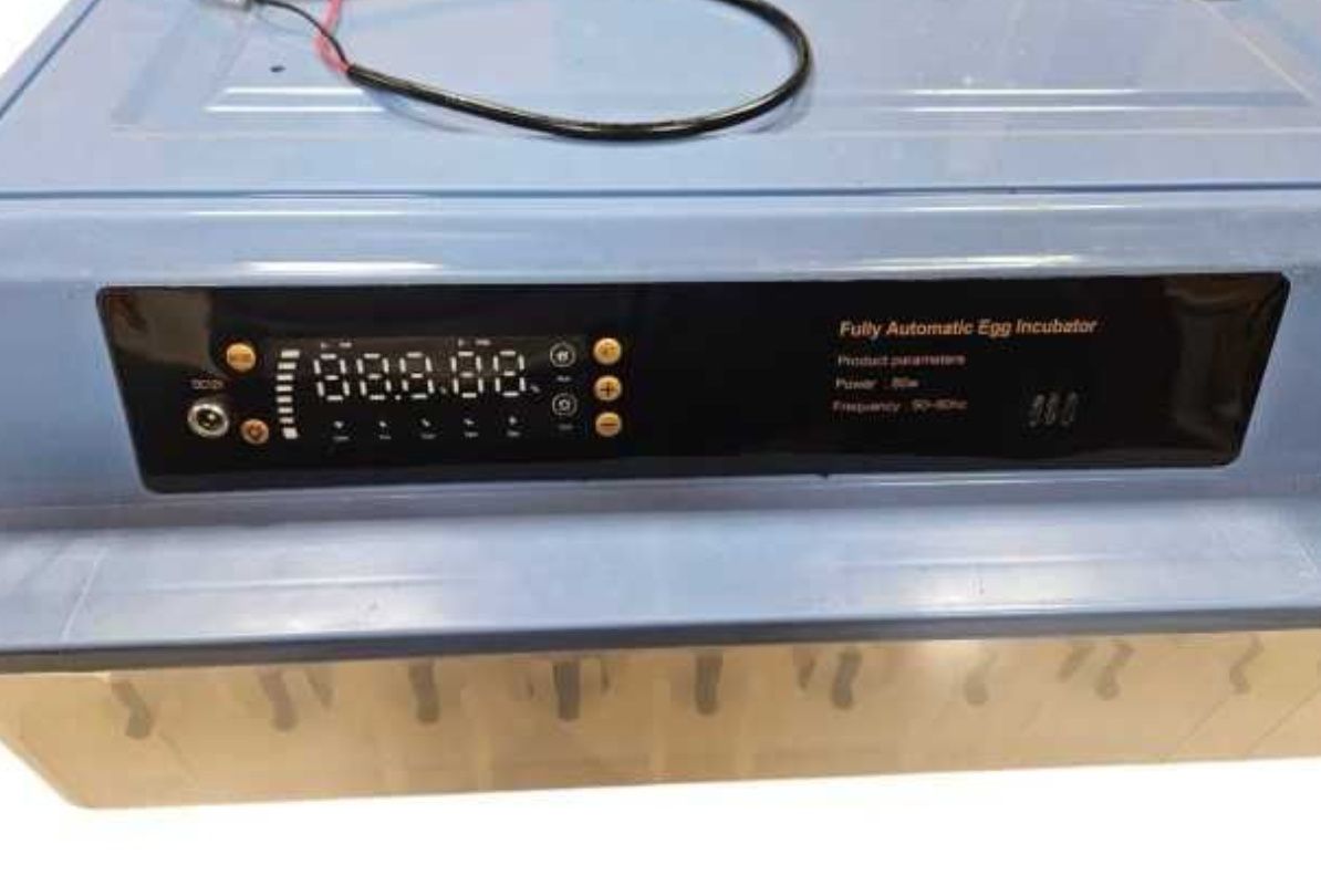 Inkubator automatyczny jaja lęgowe automat