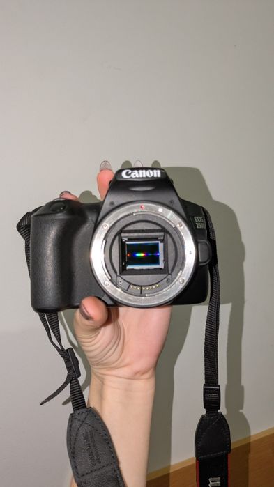 Canon 250d + 50mm f/1.8 STM + 18-55MM KIT
