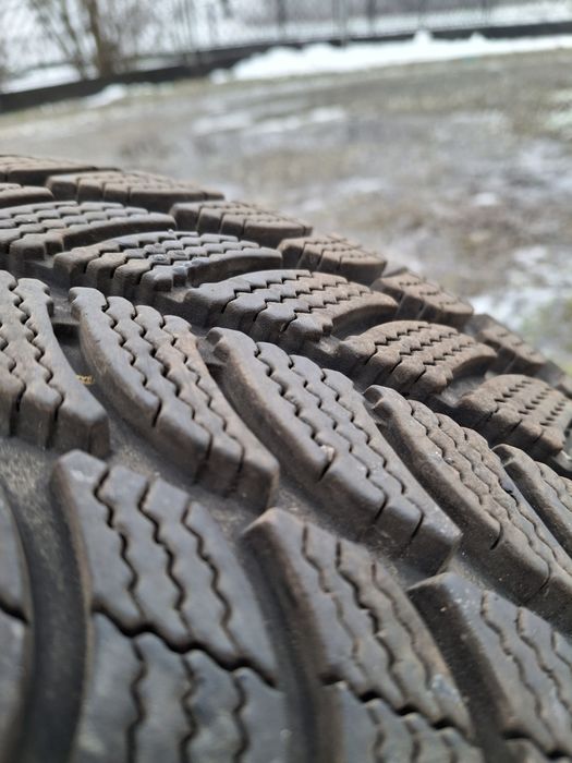 Opony zimowe Debica Frigo 2